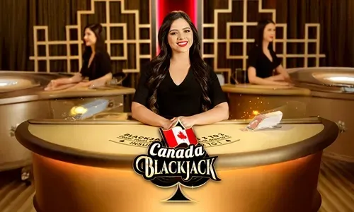 Dreamjili Live Casino